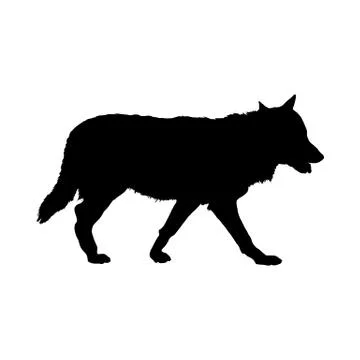 Wolf Silhouette 스톡 일러스트