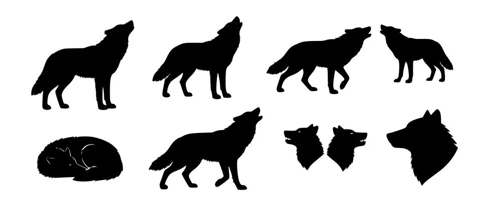 Wolf silhouette set isolated wildlife vector shapes Stock Illustration