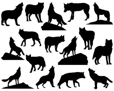 WOLF SILHOUETTE VECTOR ART, WILD ANIMAL Illustrazione stock