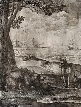 A wolf is sitting opposite a sow with its young under a tree while a boar a.. イラスト素材