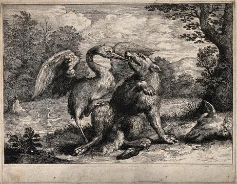 A wolf is sitting on the shore of a lake while a crane extracts a bone from.. Stock Illustration