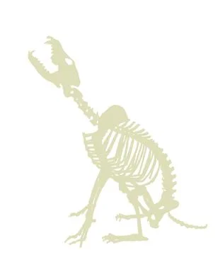 Wolf skeleton vector silhouette illustration isolated on white イラスト素材