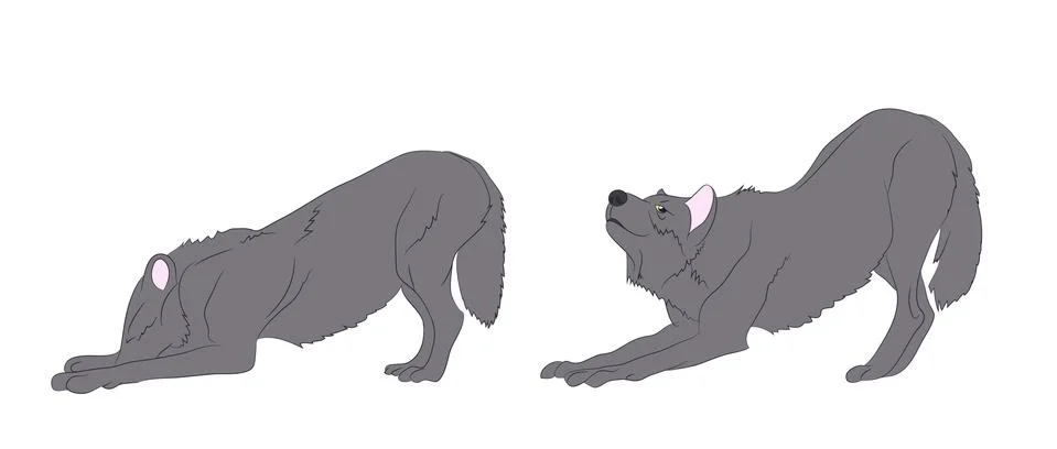 Wolf stands, color vector 스톡 일러스트