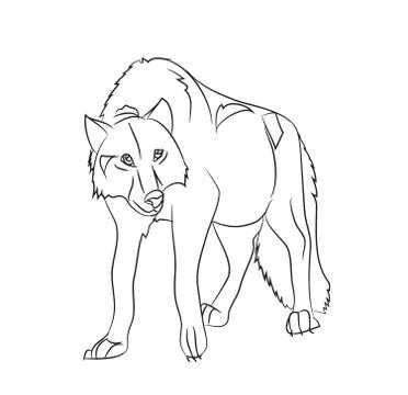 Wolf stands, lines, vector Stock Illustration
