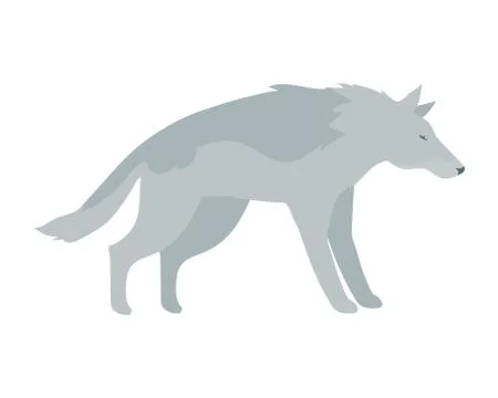Wolf Vector Illustration in Flat Design Stock Illustration