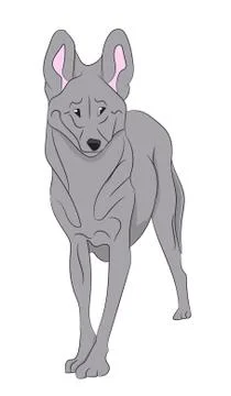 Wolf vector illustration Stock-Illustration
