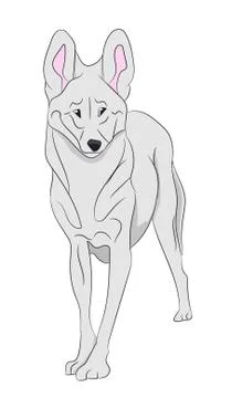 Wolf vector illustration Stock Illustration