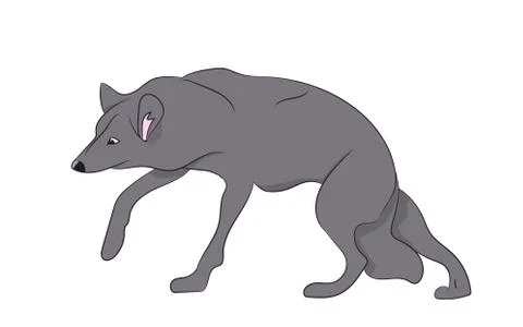 Wolf vector illustration イラスト素材