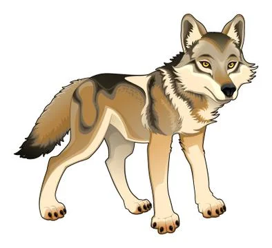 Wolf. Vector isolated character Stock Illustration