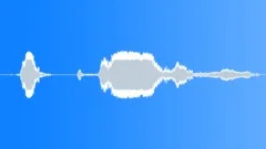 Wolf whistleSound Effect