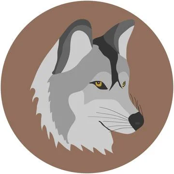 A wolf, a wolf's head Illustrazione stock