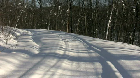 Wolf/Dog running in snow Stock Footage 309924