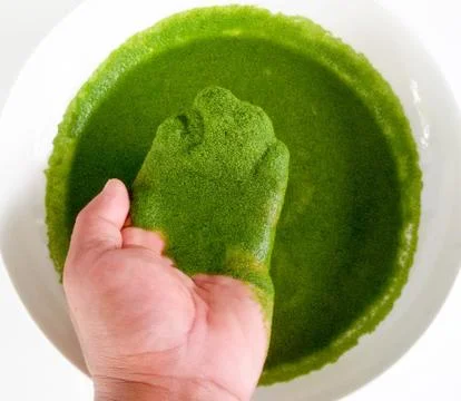 Wolffia globosa on hand. Stock Photos