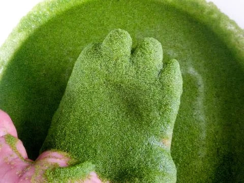Wolffia globosa on hand. Stock Photos