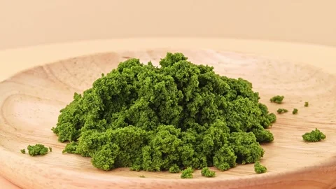 Wolffia globosa or swamp algae or water meal. Super food. Stock Footage 311519760