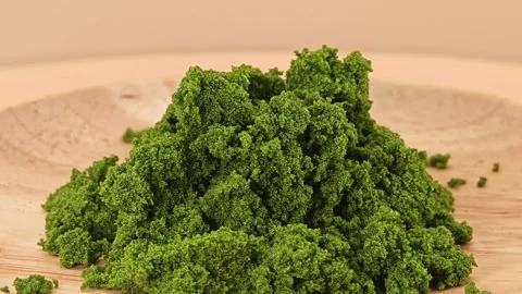 Wolffia globosa or swamp algae or water meal. Super food. Stock Footage 311519777