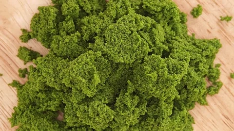 Wolffia globosa or swamp algae or water meal. Super food. Stock Footage 311519793