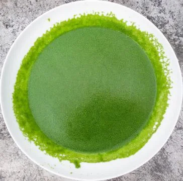 Wolffia globosa. Stock Photos