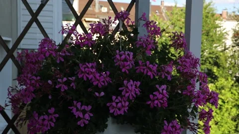 Wolfgang Heep Video stock 200224580