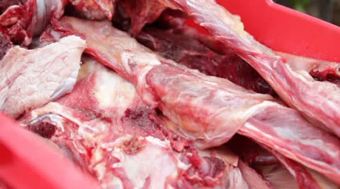 Wolfmeat Stock Footage 25935646