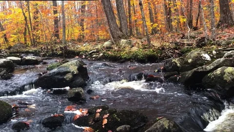 WolfRock Stream Pan 库存影片 83045736