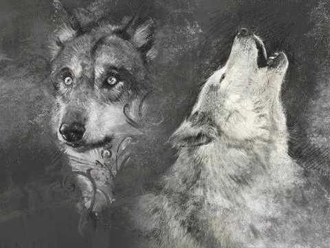Wolfs, handmade illustration on grey background Stock Illustration