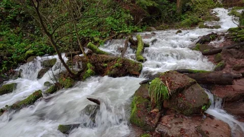 Wolfsschlucht1 Stock Footage 132219098