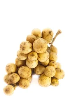 Wollongong Stock Photos