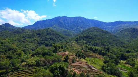 Wologai Valley Stock Footage 311666500