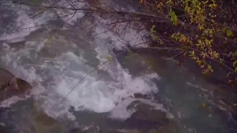 Wolverine Creek Alaska 3 Stock Footage 82184599