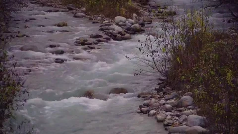 Wolverine Creek Alaska 8 Stock Footage 82185446