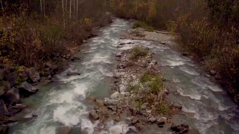 Wolverine Creek Alaska 9 Stock Footage 82185230