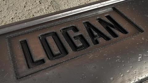 Wolverine Logan Dog Tags 3D Model