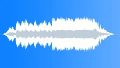Wolves In The BlizzardStock Music