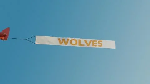 Wolves Wolverhampton Plane Banner Message UK City Stock-Illustration