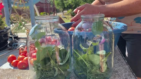 Woman adding herbs to empty jars, tomatoes in blue bowl Stock Footage 316539541