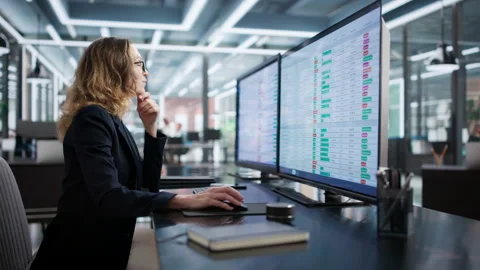 Woman Analyzing Data Records And Financial Accounts On Computer Stock Footage 329300649