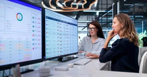Woman Analyzing Vendor Data On Computer To Ensure Compliance And Reduce Risk. Stock Photos
