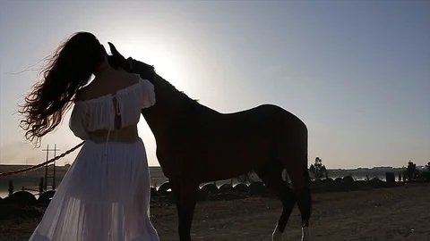 Woman and the Arabian horse Stock Footage