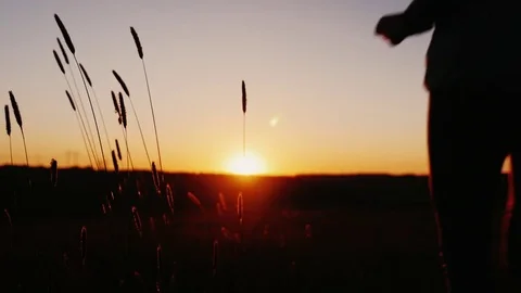 Woman and girl jogging at sunset, silhouettes against the setting sun Stock Footage