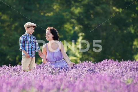 Woman and her little son in lavender field Stock Photos