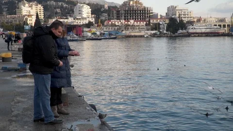 Woman and man feeding the seagulls from the shore Stock Footage