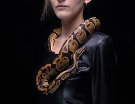 Woman and royal python Stock Photos