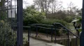 Woman answers phone outside, sad upset HD Footage