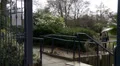 Woman answers phone as she walks through park HD Footage