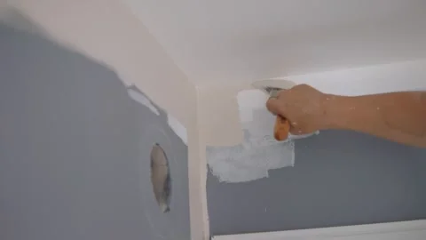 Woman Applying Paint To Plain Wall During Home Redesign Stock Footage 312525244