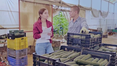 Woman are looking at documents on sorting cucumbers. Video stock 198805418