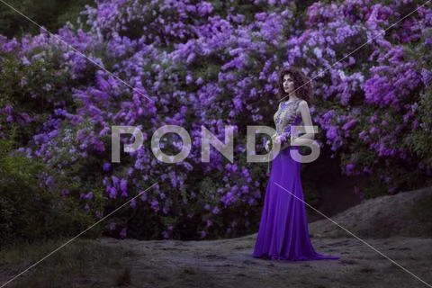 Woman on a background of blooming lilac flowers. Stock Photos