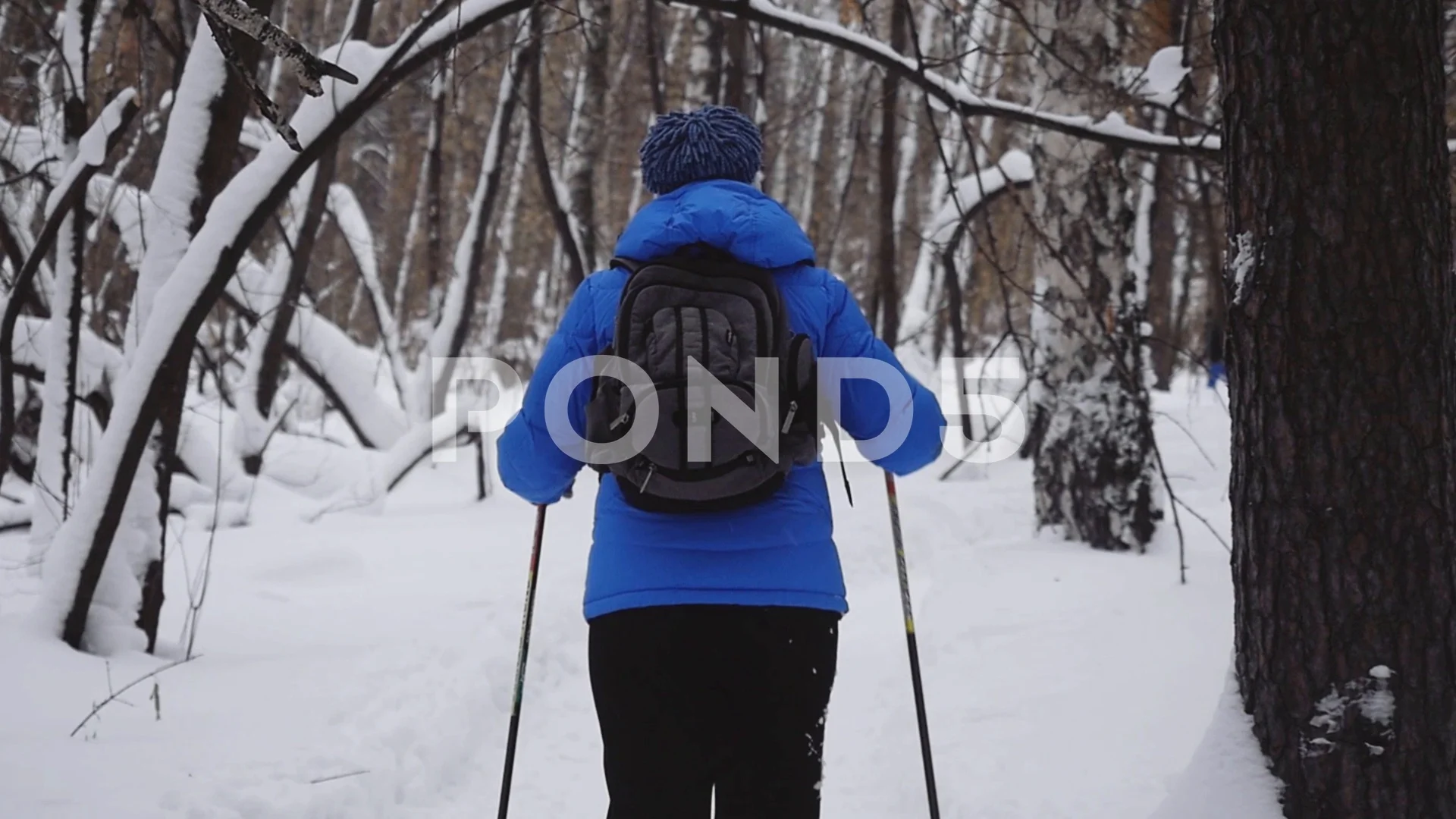 cross country ski backpack