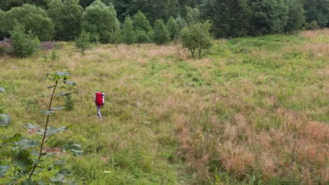 Woman with backpack walking away high angle wide shot in grassy meadow Stock Footage 346070524